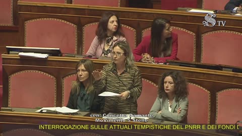 Damante - Intervento in Senato (12.03.25)