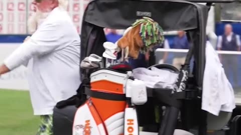 John Daly pulling up blasting Fetty Wap. 😂