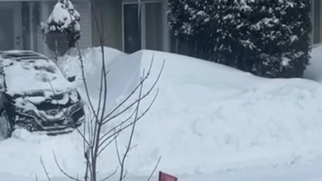Life in Montreal after 2 Snow Storms!