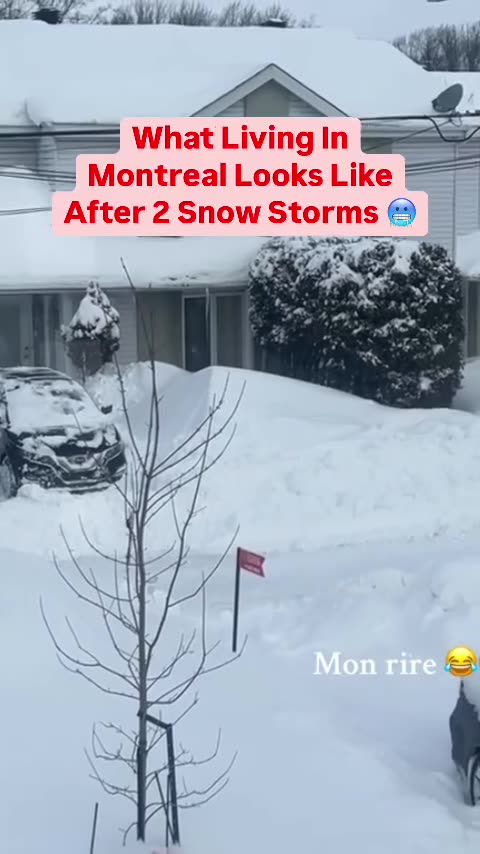 Life in Montreal after 2 Snow Storms!
