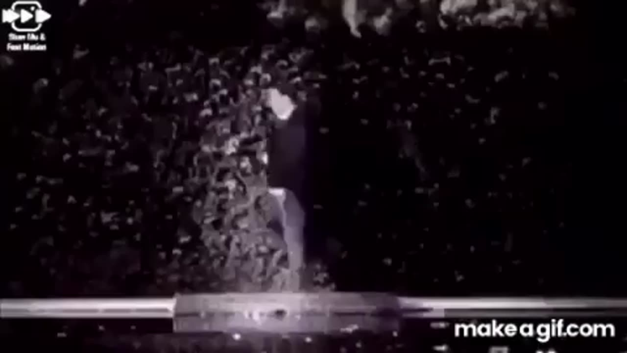 Chaupiquelopecio