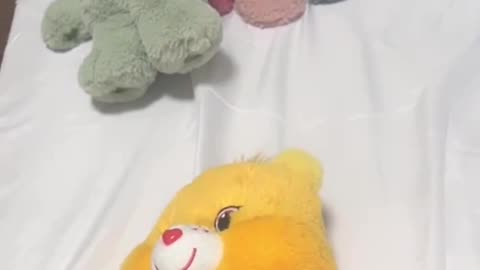 🐻 Care Bears นุ่มนิ่มกอดอุ่น