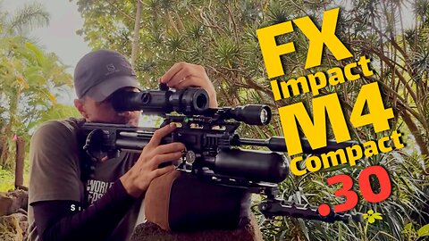 FX Impact M4 Compact .30 Cal