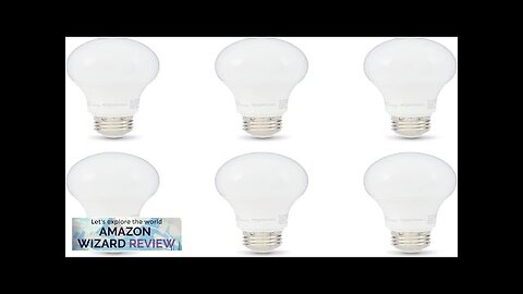 Amazon Basics A19 LED Light Bulb 60 Watt Equivalent Energy Efficient 12W Review