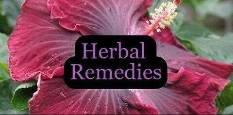 Herbal Remedies w/Trisha Jones