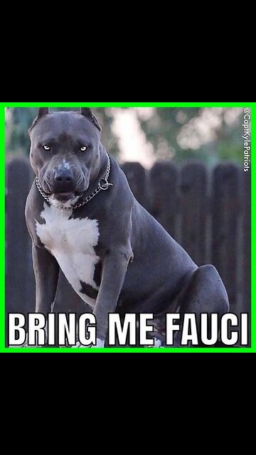 Fauci made up the Covid