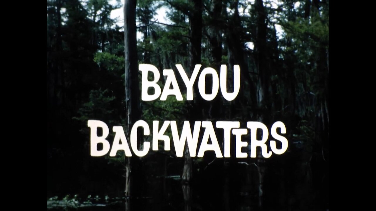 Mutual of Omaha's Wild Kingdom - "Bayou Backwaters"