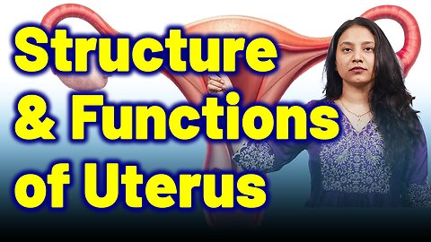 Structure and Function of Bulky Uterus . | Dr. Bharadwaz | Homeopathy, Medicine & Surgery