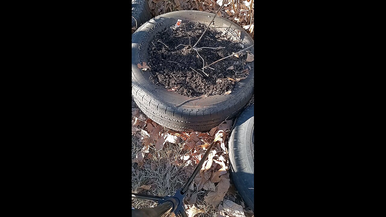 planting garlic in 20° temperature