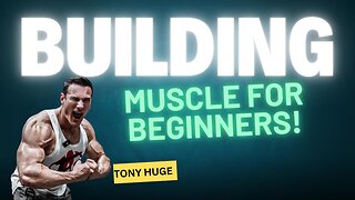 Building muscle for beginners!