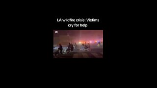 LA wildfire crisis: Victims cry for help