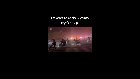 LA wildfire crisis: Victims cry for help