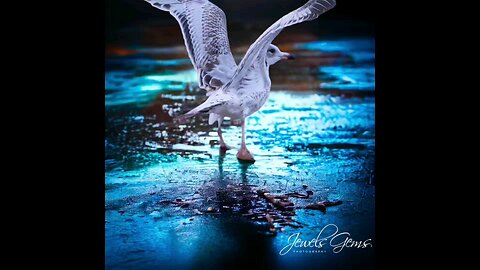 my photography