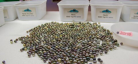 Where to buy black pearls