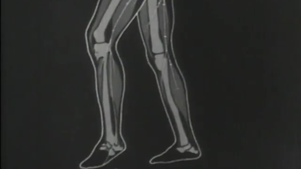 The Nervous System: Unveiling the Body’s Command Center