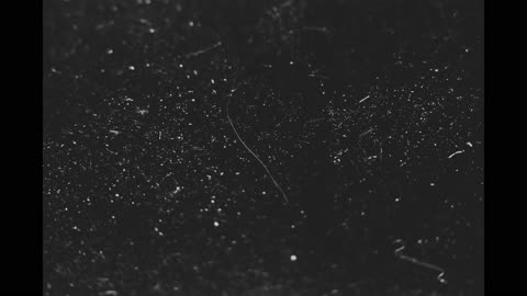 Dust You