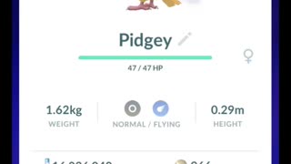 Pokémon GO-Purifying Shadow Pidgey