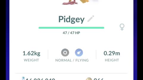 Pokémon GO-Purifying Shadow Pidgey