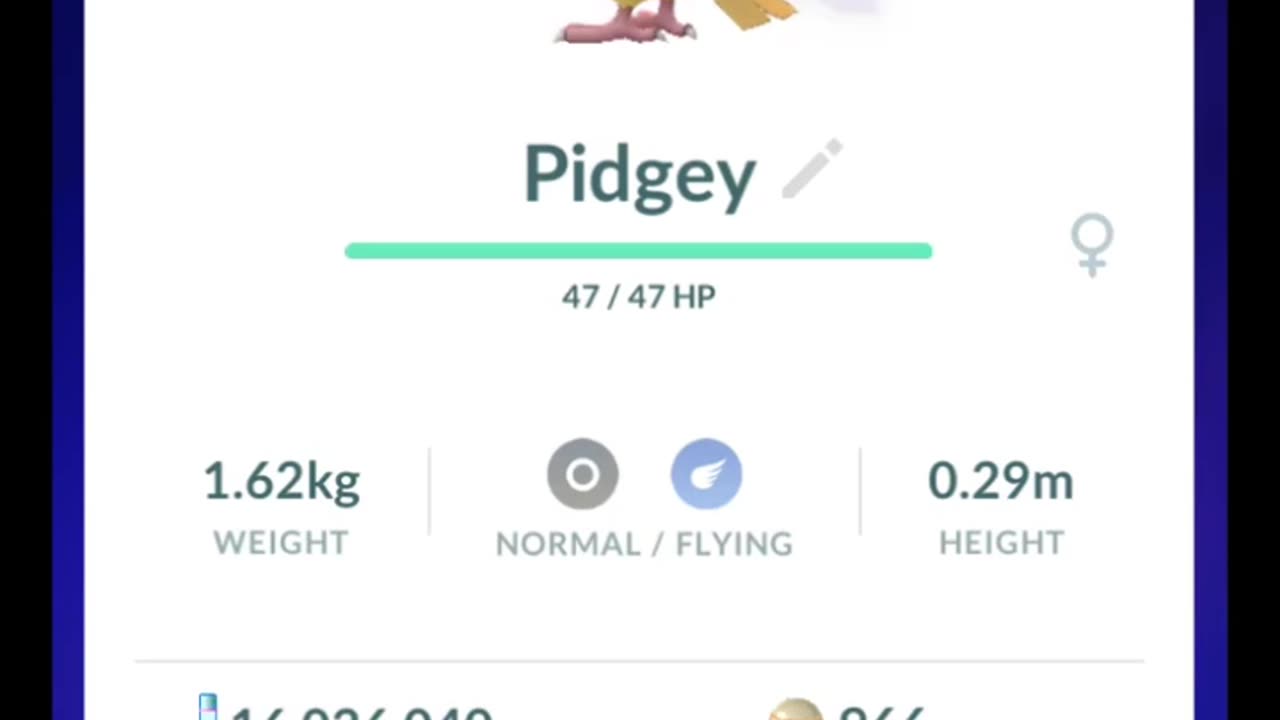 Pokémon GO-Purifying Shadow Pidgey