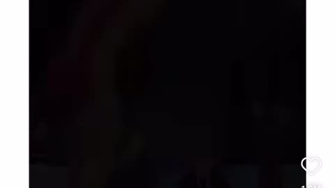 Funny fight