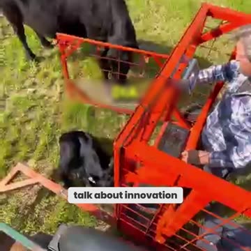 You Won't Believe This DIY Animal Marking Machine!