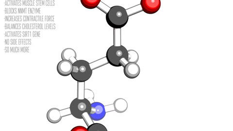 5 Amino 1MQ - Morphic Field