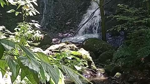 Relaxing sound and beautiful view of the waterfall at the end of the trail!