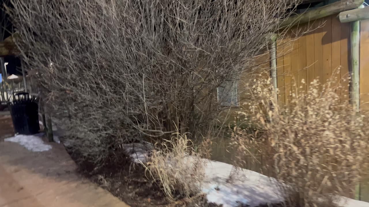 #TurtlebackZoo #HolidayLightsSpectacular with #JohnnyRay 2024