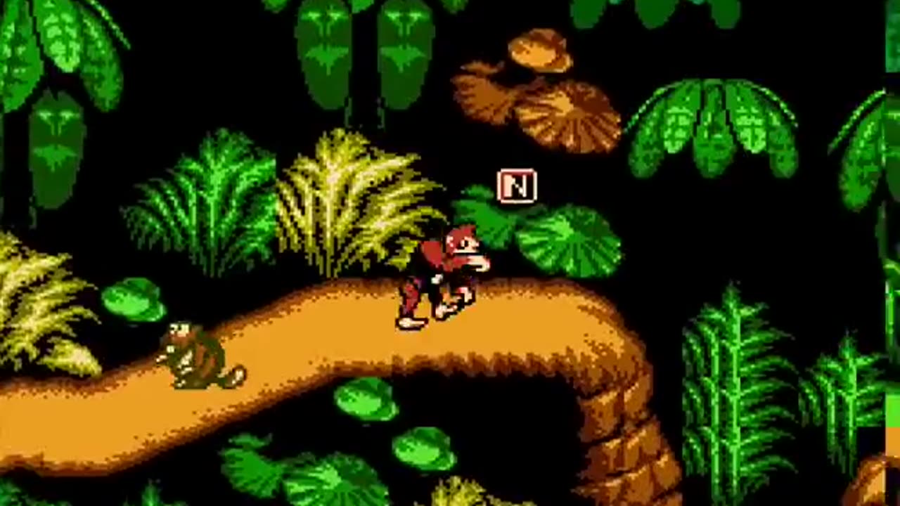 (NES)Donkey Kong Country IV