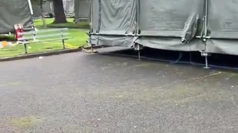 Irish government creating migrant camps for Somolians