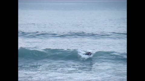 Kenny surfs the Coronado Shores shipwreck