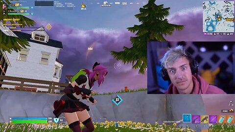 Ninja Got Too Curious..