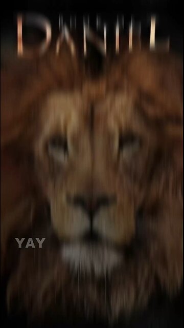 Learn Your History ‼️‼️