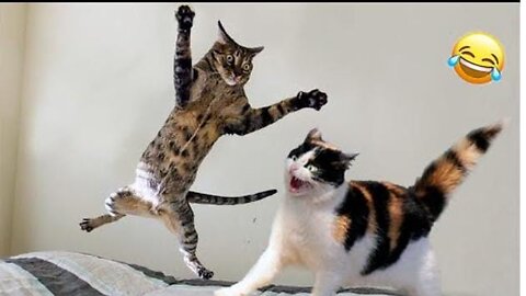 funniest animal reaction 2025