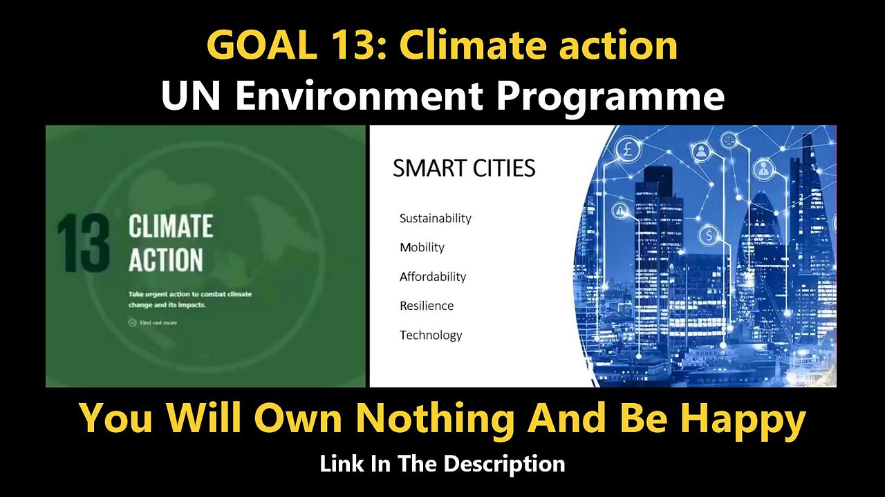 GOAL 13 - Climate action - You Will Own Nothing And be Happy