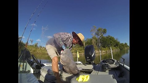 The Bumping 80 Pound Giant Blue Catfish!