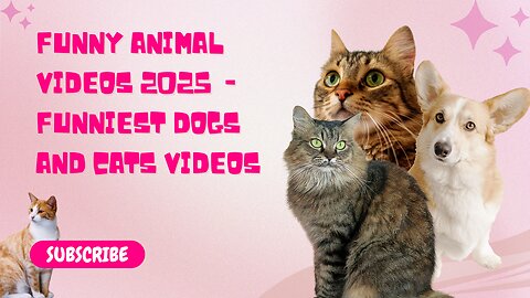 Funny Animal Videos 2025 🥰 - Funniest Dogs and Cats Videos 😁