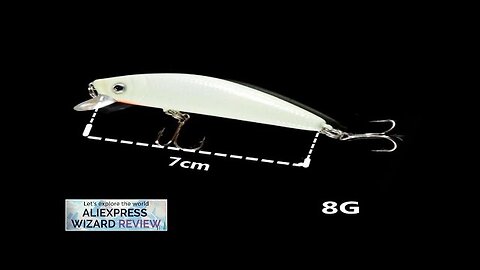 2PCS 3D Luminous Minnow Fishing Lure With Treble Hooks Pesca Hard Bait Review