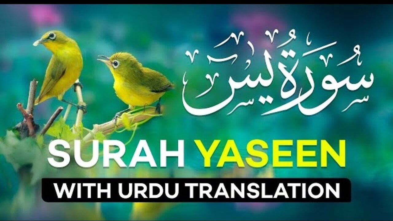 Surah Yaseen with urdu translation | | Surah Yaseen Beautiful recitation with Arabic and Urdu text |