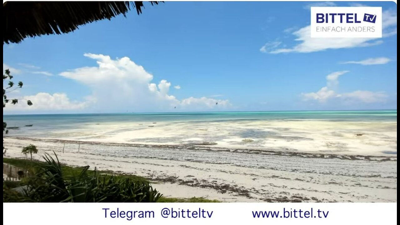 Webcam vom Strand aus Sansibar - 07.03.2025