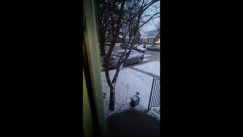 Snow, Dearborn, Michigan, New Year's Day 2025, About 5:28 P.M.