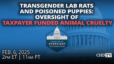 Transgender Lab Rats and Poisoned Puppies: Oversight of Taxpayer Funded Animal Cruelty