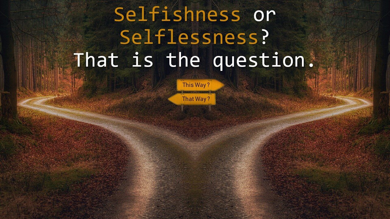 Selfishness or selflessness? That is the question!