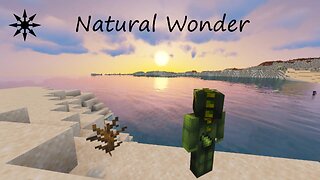 Music Video - Natural Wonder by Reptoid - Minecraft Mesa Coral Swim