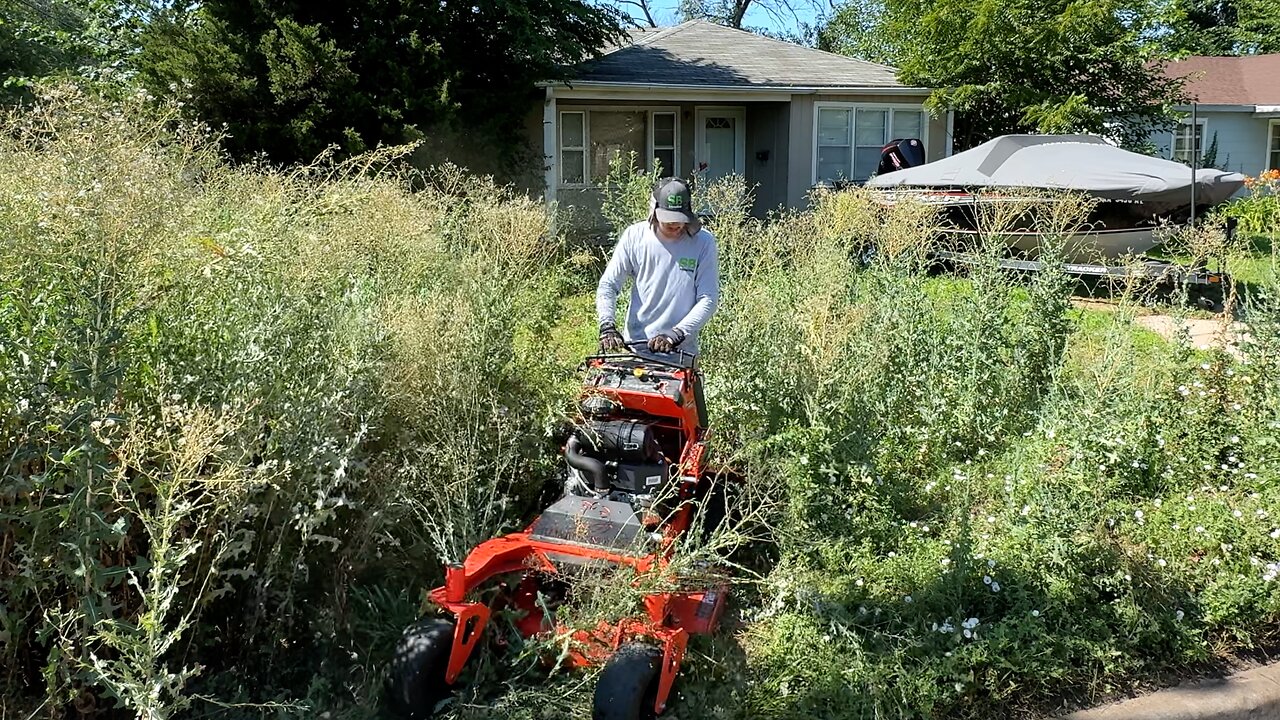 Grass is TALLER THAN ME and nobody has seen it cut in 5 YEARS!