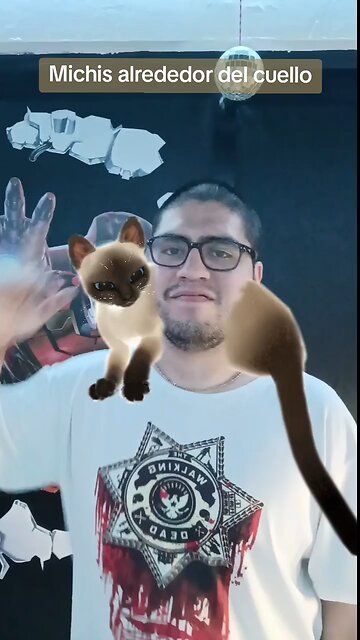 Michis contra filtro