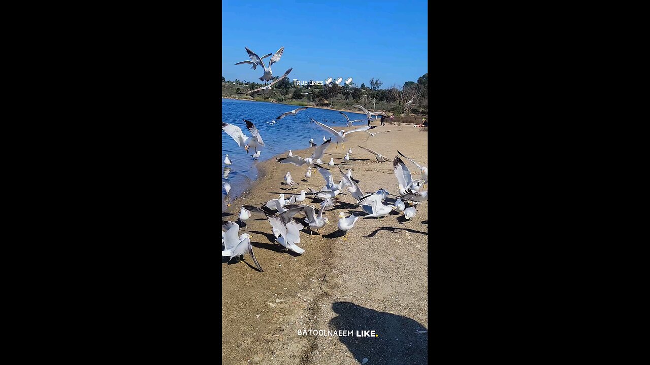 #foryoupage#viralvideo