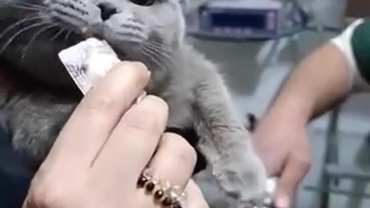 Can’t make up my mind 🤣