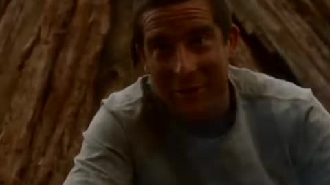 Bear Grylls Goes Rabbit Hunting with a Stick | Man vs. Wild