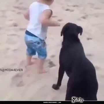 Mans Best Friend 12-25-24